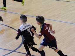 mini-IMG_5510